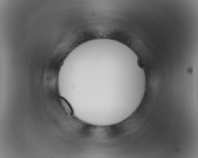 X0000111780129200908131357
