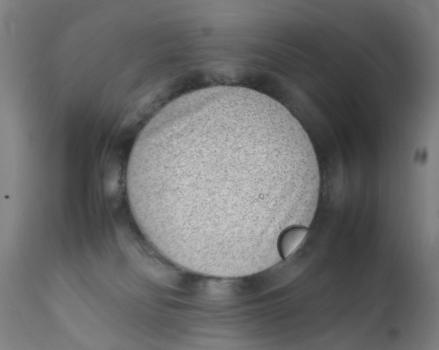 X0000111780134200908131357