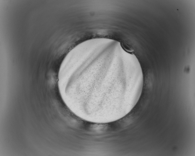 X0000111780135200908131357