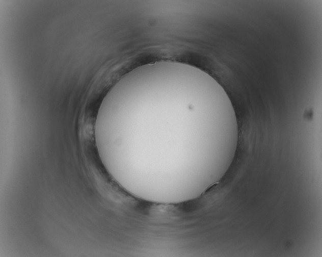 X0000111780137200908131357