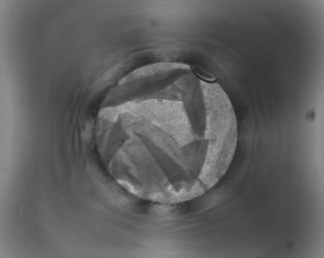 X0000111780139200908131357