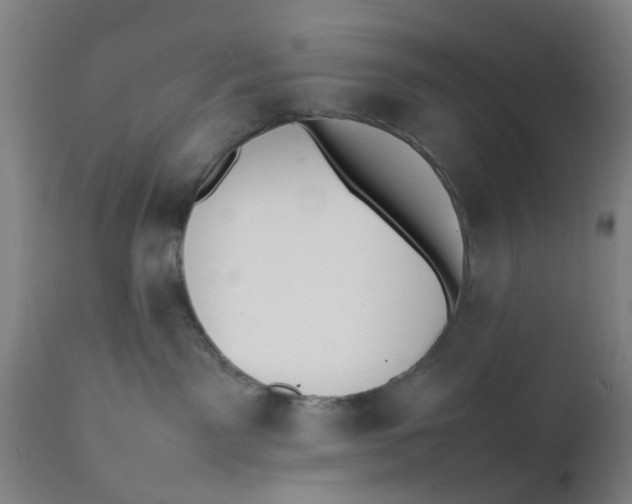 X0000111780141200908131357