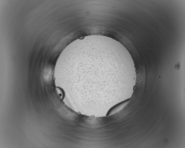 X0000111780142200908131357