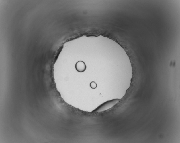 X0000111780144200908131357