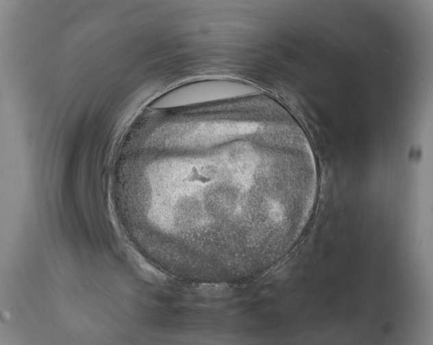 X0000111780145200908131357
