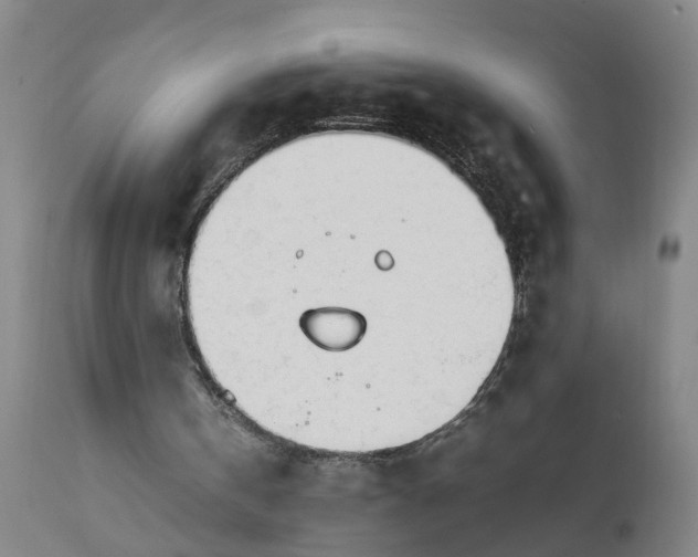 X0000111780146200908131357