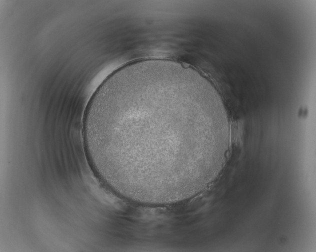 X0000111780147200908131357