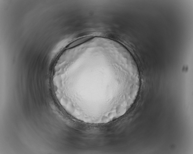 X0000111780149200908131357