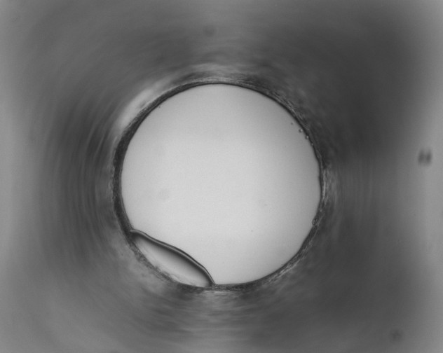 X0000111780150200908131357