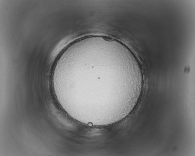X0000111780151200908131357