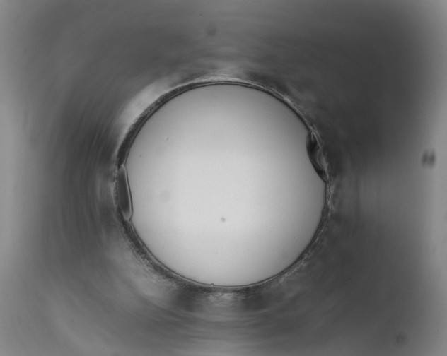 X0000111780152200908131357