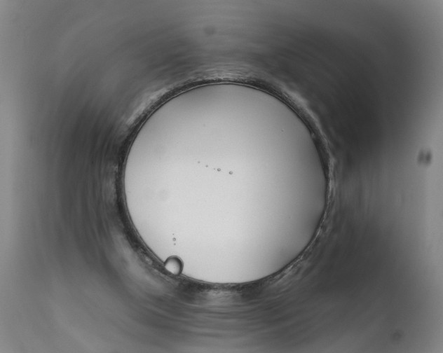 X0000111780154200908131357