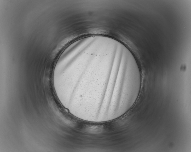 X0000111780155200908131357