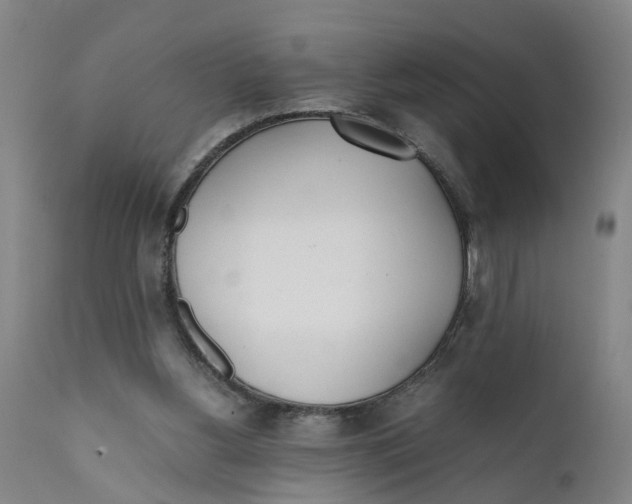 X0000111780156200908131357