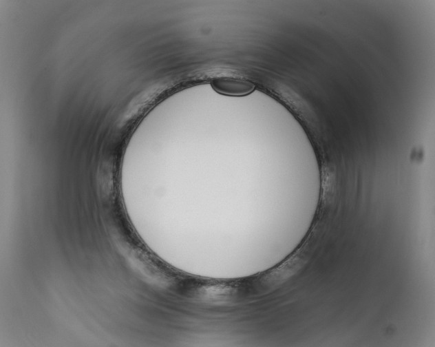 X0000111780158200908131357