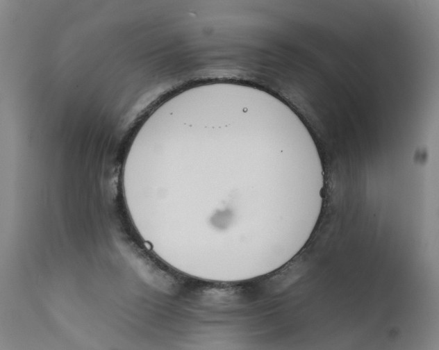 X0000111780160200908131357