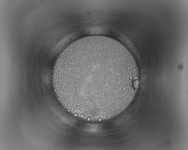 X0000111780161200908131357