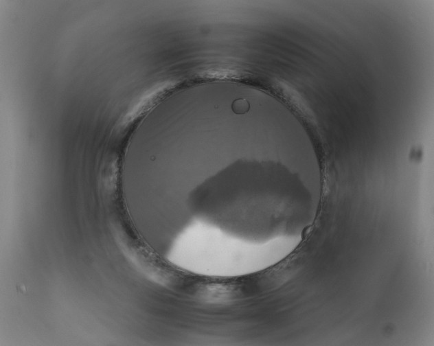 X0000111780163200908131357