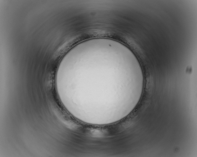 X0000111780165200908131357