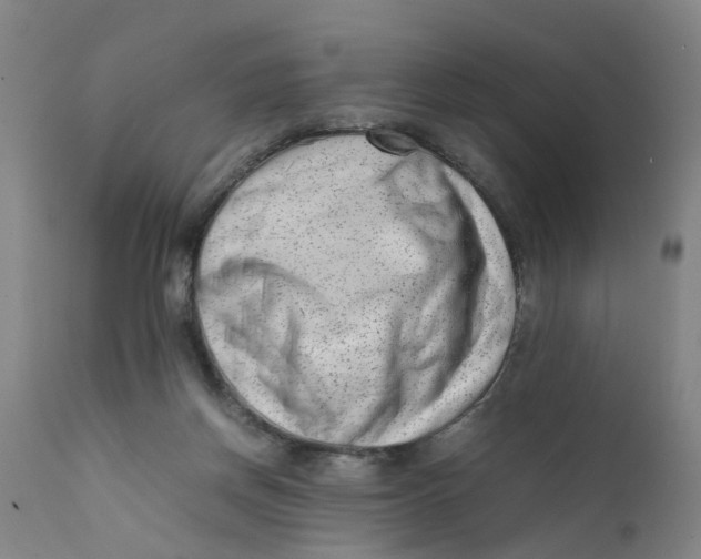 X0000111780166200908131357