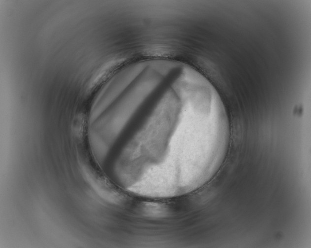 X0000111780167200908131357