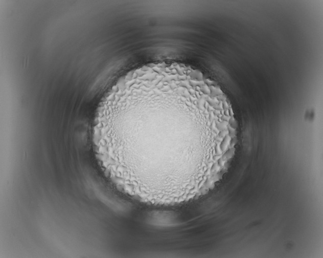 X0000111780169200908131357