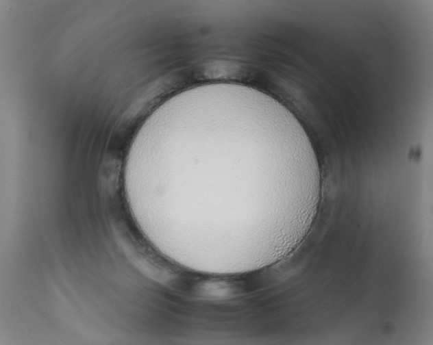 X0000111780171200908131357