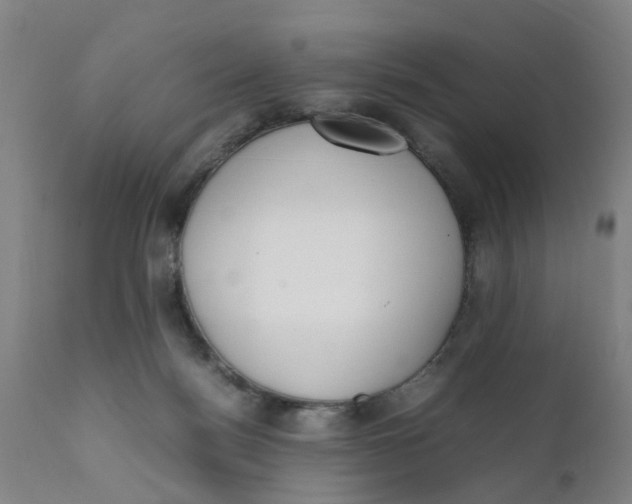 X0000111780172200908131357