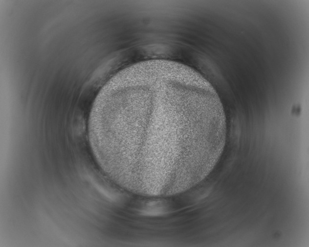X0000111780173200908131357
