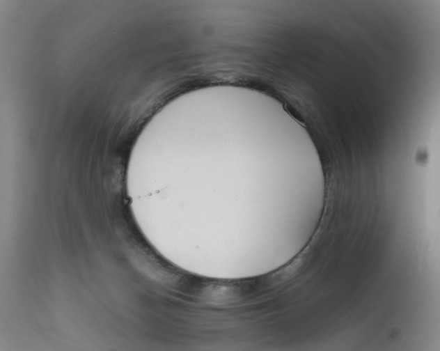 X0000111780174200908131357