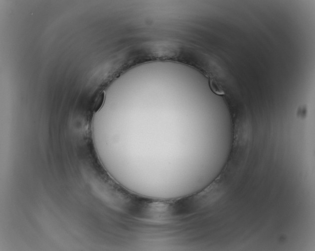 X0000111780176200908131357