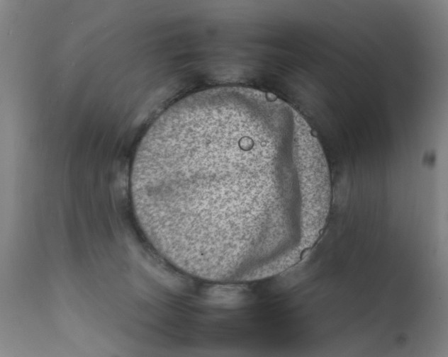 X0000111780179200908131357