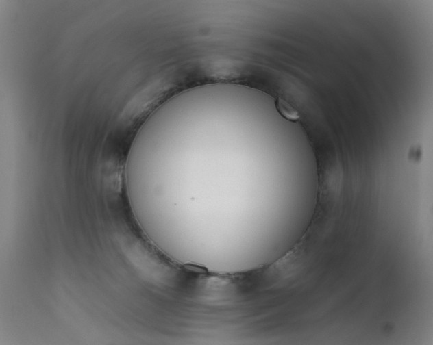 X0000111780180200908131357