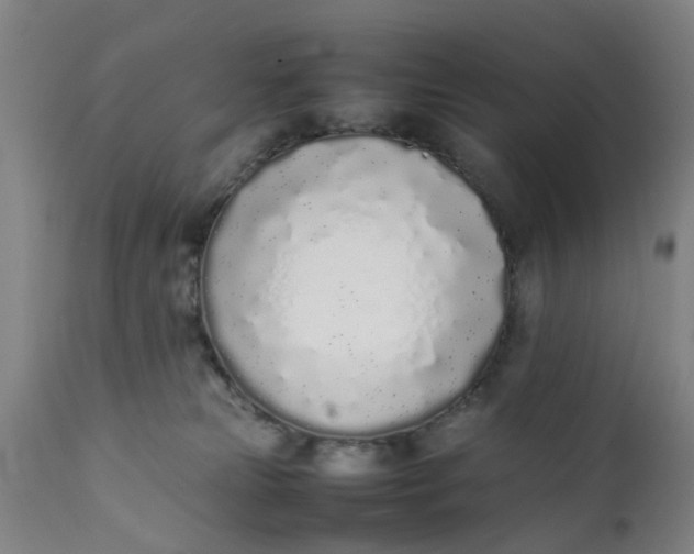 X0000111780181200908131357