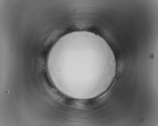 X0000111780182200908131357