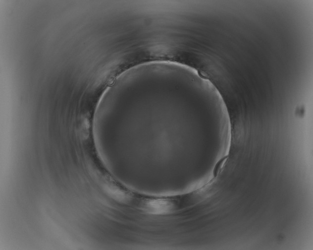 X0000111780183200908131357