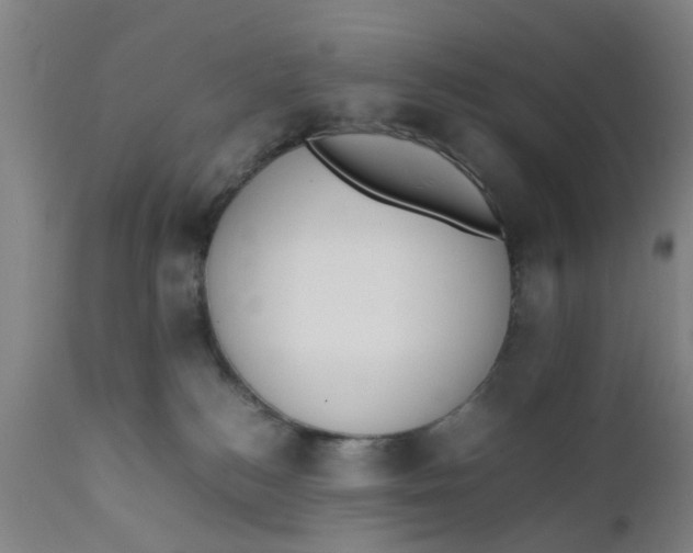 X0000111780184200908131357
