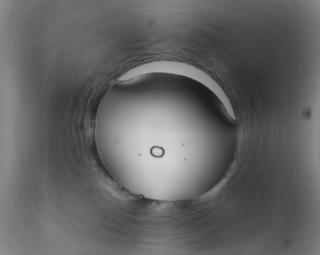X0000111780186200908131357
