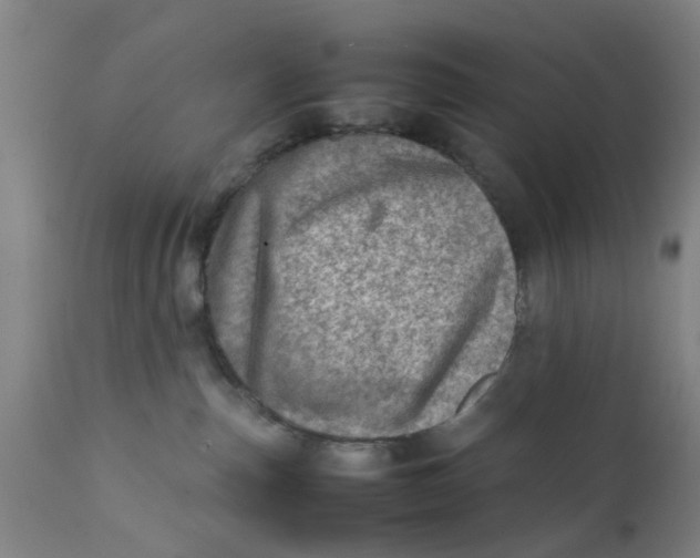 X0000111780187200908131357