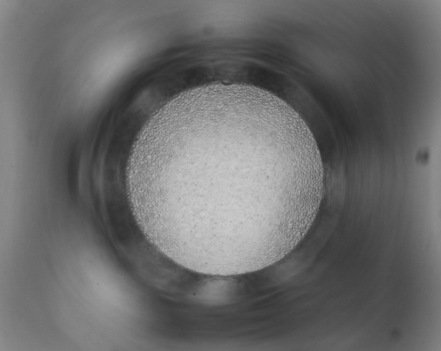 X0000111780189200908131357
