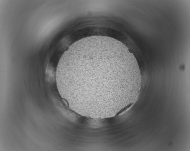 X0000111780191200908131357