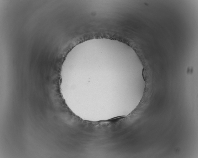 X0000111780192200908131357