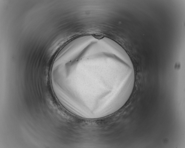 X0000111780194200908131357