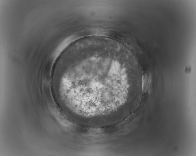 X0000111780195200908131356