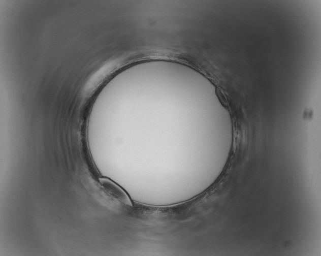 X0000111780197200908131356