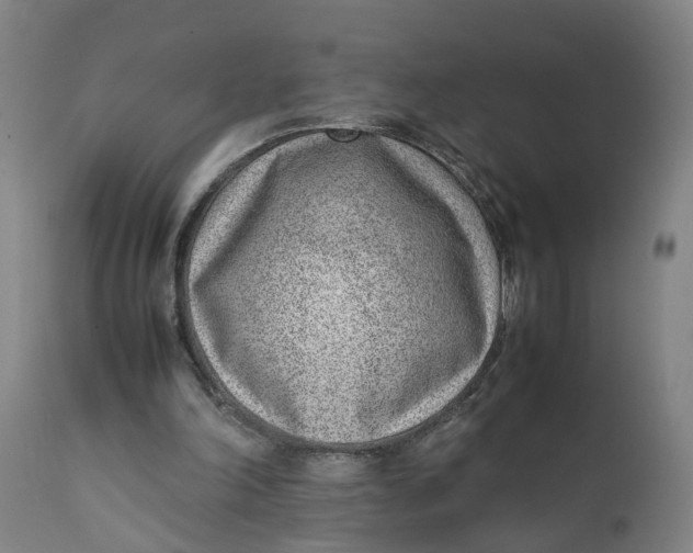 X0000111780198200908131356