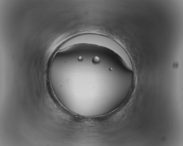 X0000111780199200908131356