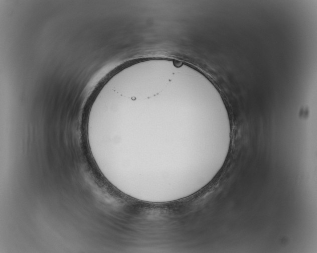X0000111780200200908131356