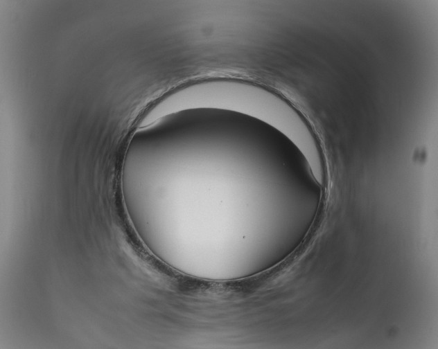 X0000111780201200908131356