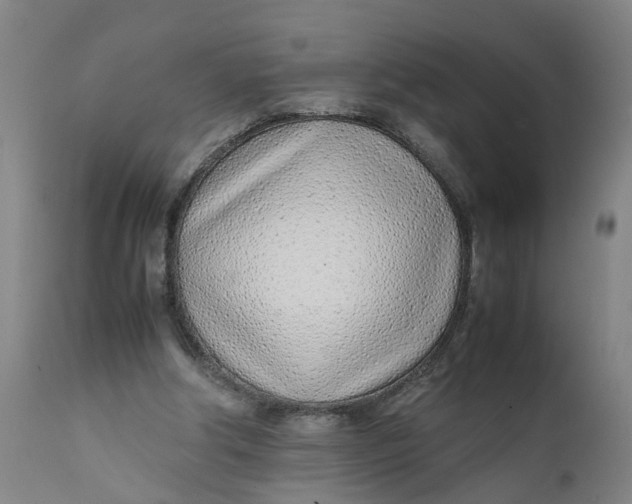 X0000111780202200908131356